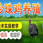 养殖加盟,探索多元化养殖项目，共创财富未来