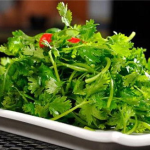 喜欢吃香菜,探寻香菜的独特魅力