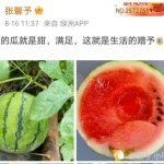 今日娱乐圈有什么瓜可以吃,揭秘今日热点事件