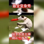 嘻嘻哈哈娱乐吃瓜,揭秘吃瓜群众的狂欢盛宴