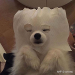 id名搞怪可爱小众,搞怪可爱小众ID名大盘点