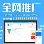 网站优化 北京,提升搜索引擎排名与品牌影响力的实战指南