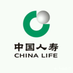 中国人寿官方网站,构建多层次社会保障体系，助力国家战略发展”