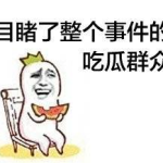 娱乐吃瓜酱用最大的恶意,吃瓜酱用最毒辣眼光剖析幕后真相